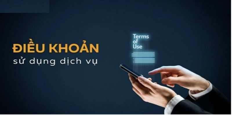 Điều khoản sử dụng - Thu thập và xử lý dữ liệu Điều khoản sử dụng - Thu thập và xử lý dữ liệu